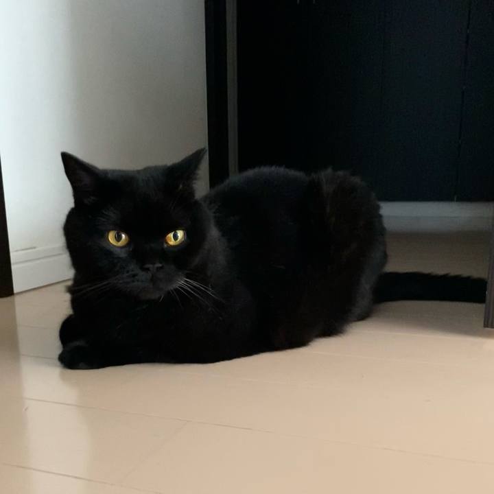 157b59c6 5908 41aa b439 3fb94b7200aa 1752050422028