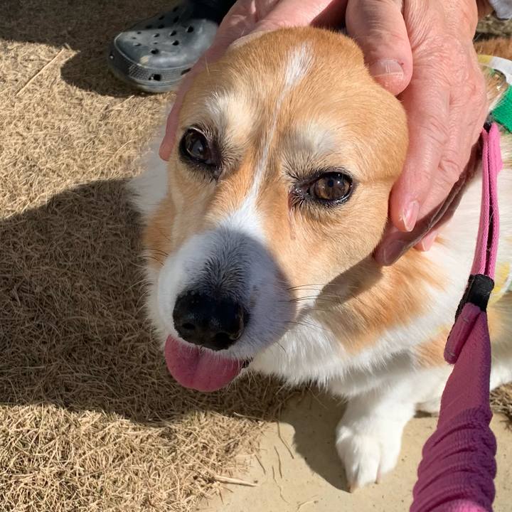 157b6362 f1fe 49f8 a68e 07bd648e7005 1706150063780