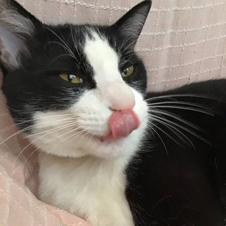 157b6c04 bcd3 419d ba27 087fa46b78b0 1651285132804