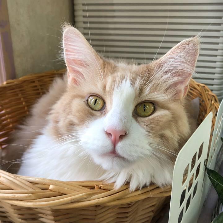 157b7683 dfe2 4216 bfd5 c5025824161a 1582330424867