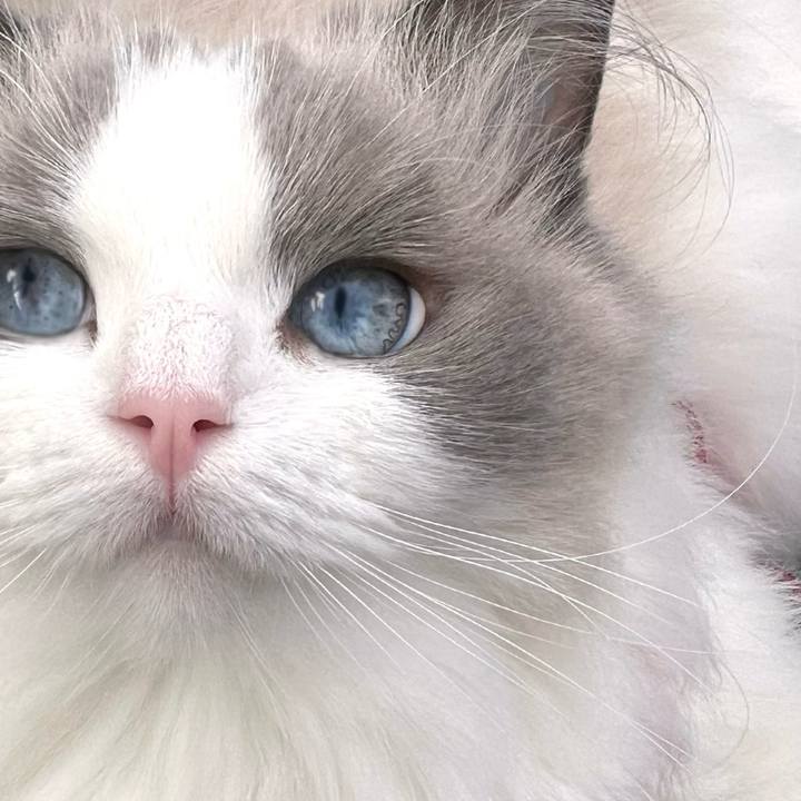 157bacd0 17e7 44d7 9967 00fa996d156c 1722071452339