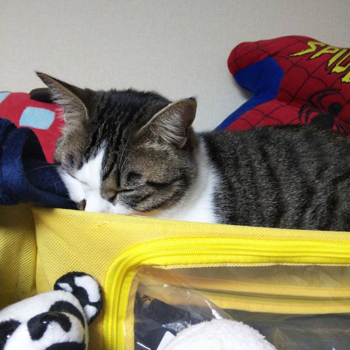 157bb125 9b9e 4c8f b26e cd2a98a66a1d 1652002882258