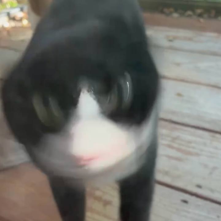 157bb1d9 92fa 4d26 b2b0 7a0b3db22841 1755337973494