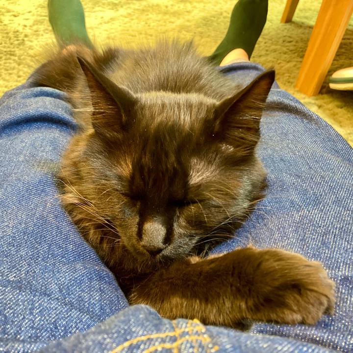 157bb9f8 38bc 4ca7 b8a3 83beb6826e01 1714455351526