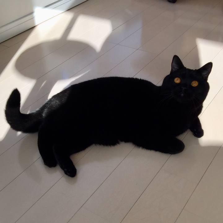 157bc630 db5d 4451 8dfe 404ddbea2866 1515993826558