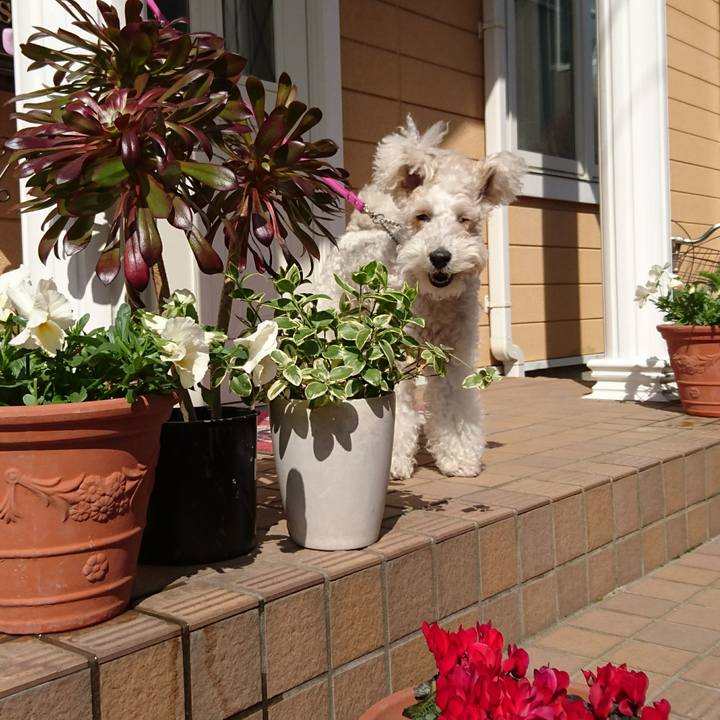 157bc80f 44b7 4dea a32b f4b428839d29 1553475049110