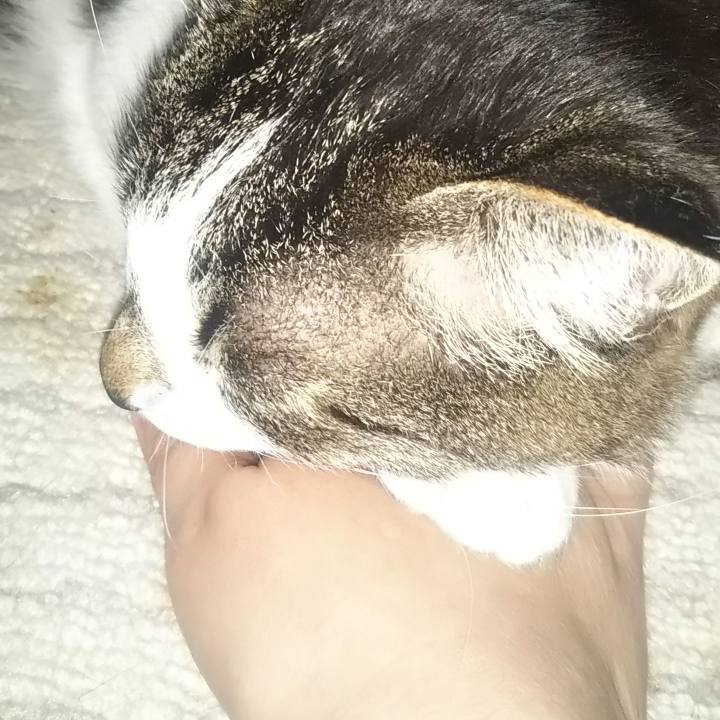 157be5a1 6722 4010 8c3f 559388a7b0d9 1619271854954