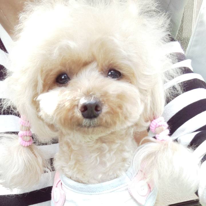 157bf1ac f8c7 4747 9727 7cfb4d965db6 1569574584727