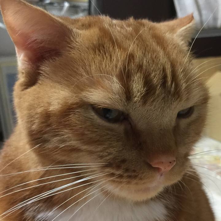 157bf370 2c5d 4c9c 9404 8aadeee5817e 1575111324808