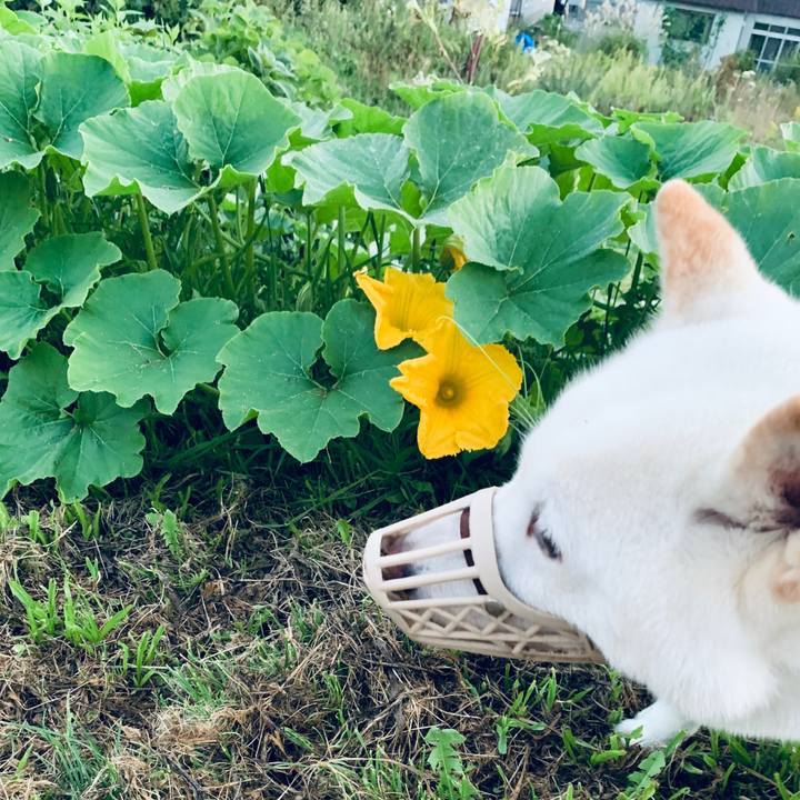 157bfd07 023e 40db b5b5 6e64fa208fe0 1599599224909