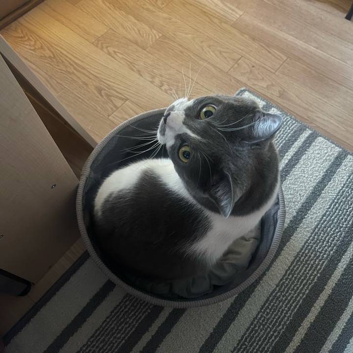 157cb71b fc95 4ac7 bf04 3bbd428543fc 1735454989377