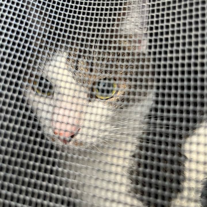 157cbba0 208a 48a8 91fe 02f59a2802ca 1776558997153