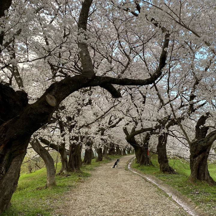 157ce4db e0bb 4e67 aa13 bf2c4dfc5d22 1679910468016