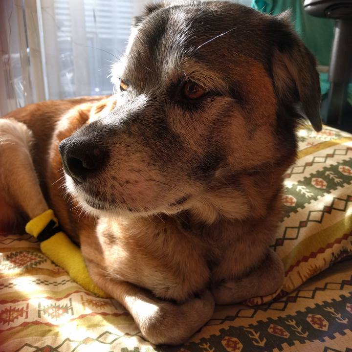 157d0a49 8f80 416f a626 1e3751b27950 1544956814089