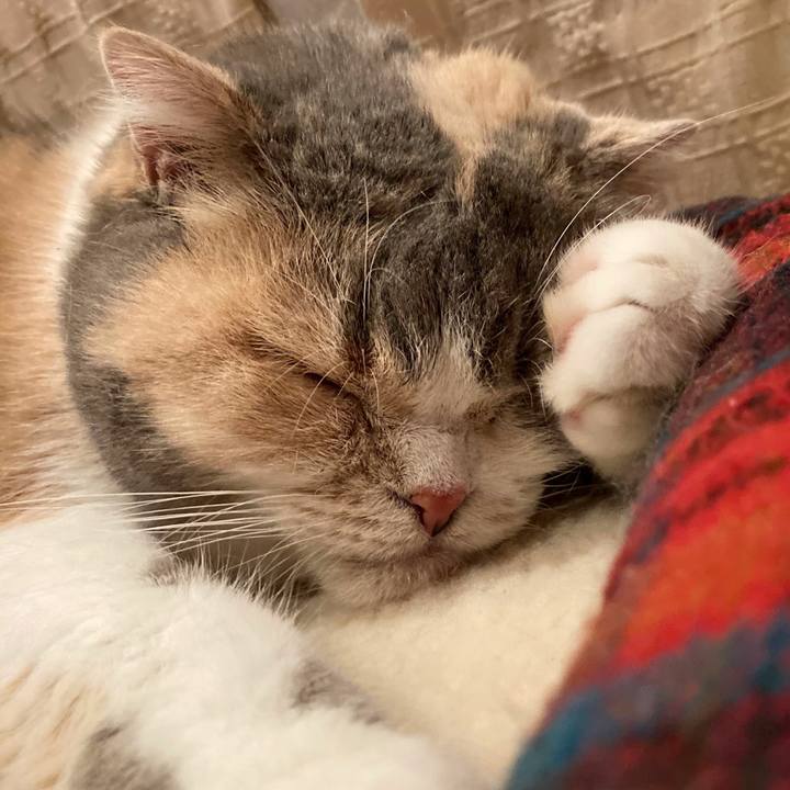 157d2c98 1c32 4731 9ede 35be433b4d8d 1604306684475