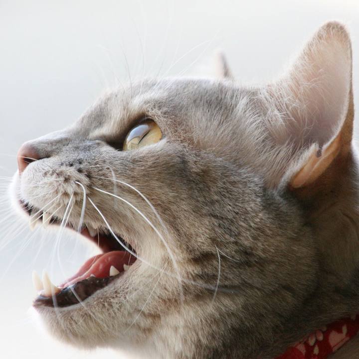 157d36db d1d4 4c46 b57d 1cbde31a4301 1522283181059