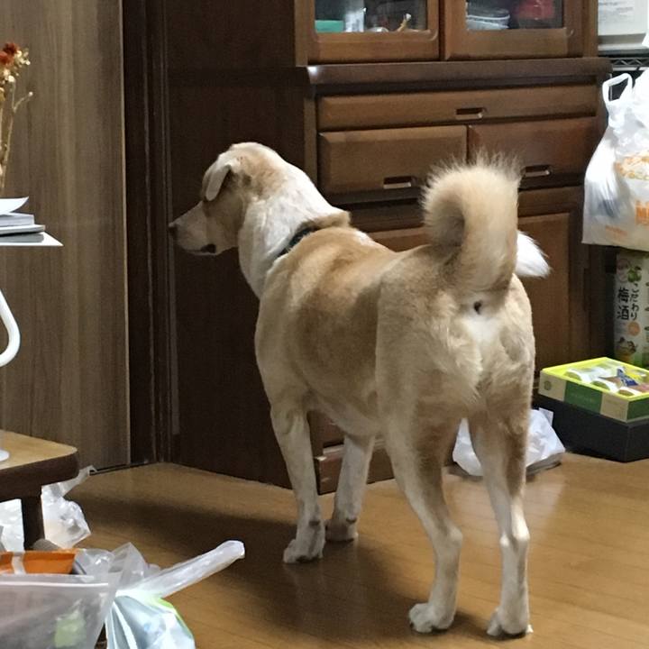 157d3c72 5850 436e b936 e05bb6c6f5a2 1534411111248