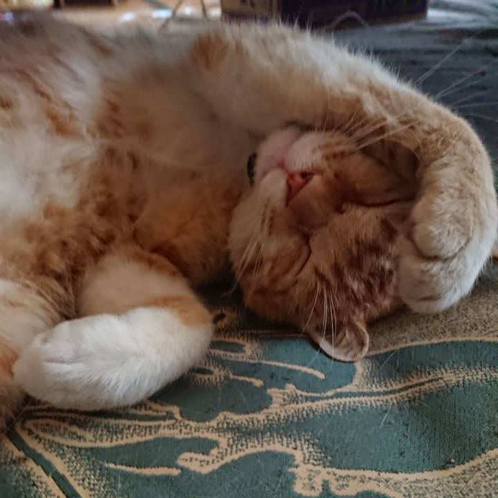 157d8af7 d89a 44cb 8d1b a585bdeaa8fc 1558239139694