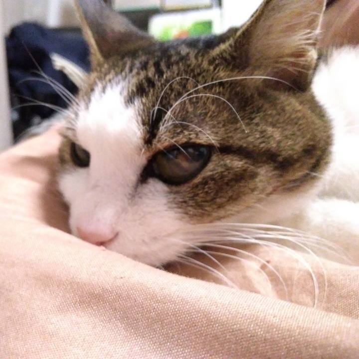 157da650 eaa4 46f3 a49c b061c361f5ef 1517659773582