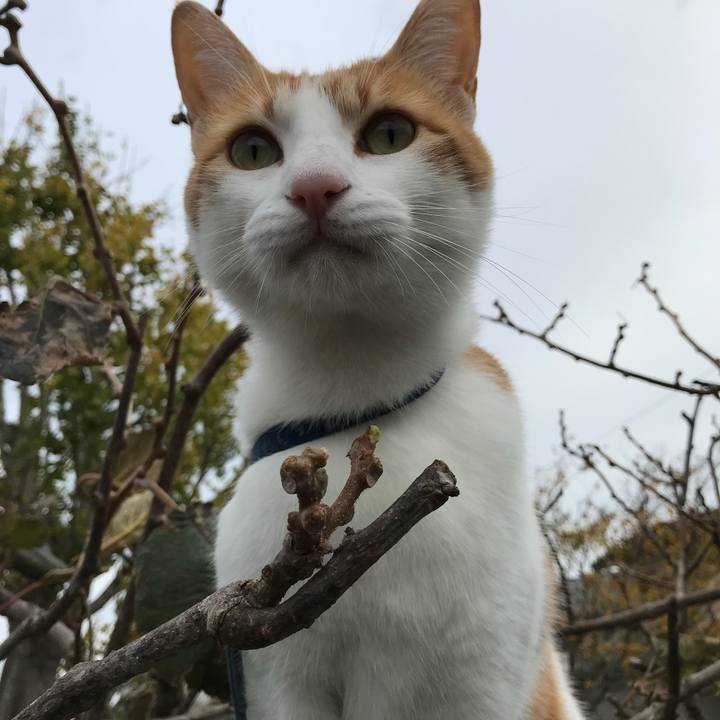 157db16e cf9f 469d 8cc4 979d1cec0c32 1509770430536