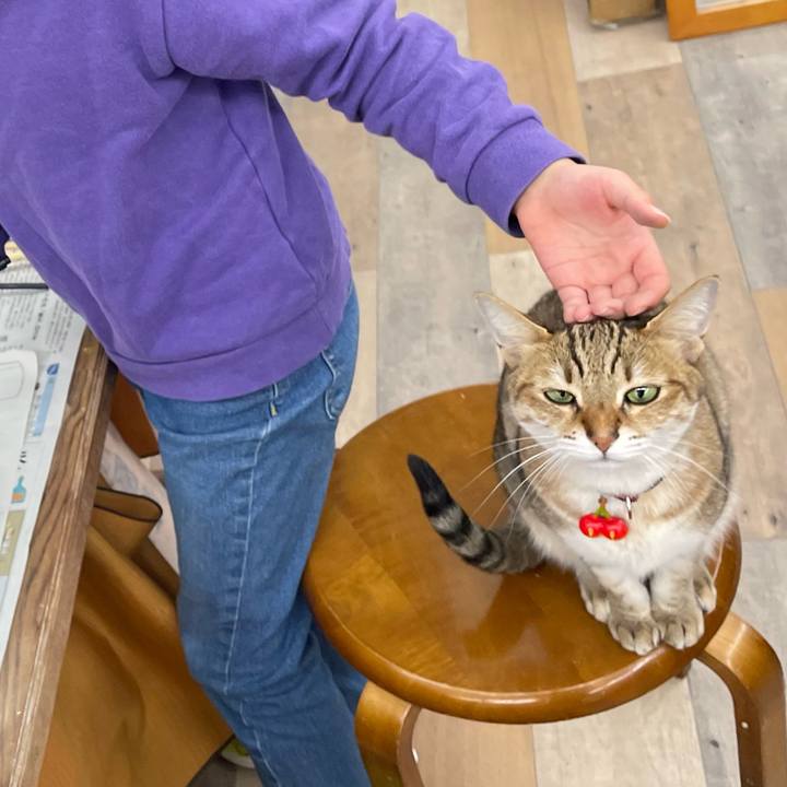 157dc1b8 98dd 44e8 bd39 4859583eee1c 1734405037358