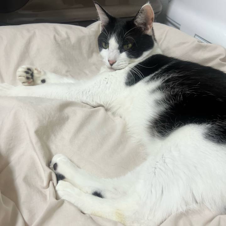 157dcbed fa59 4aaf b31c 0f25427b4edd 1693582467602