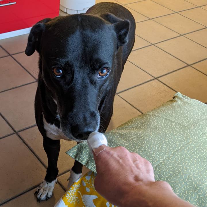 157e33cd f64b 4d0e ab3f f577def2001d 1654734255657