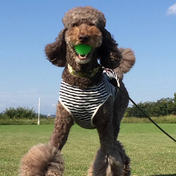 157e491e 75e9 48d0 8933 f3d889e1a450 1508309542451