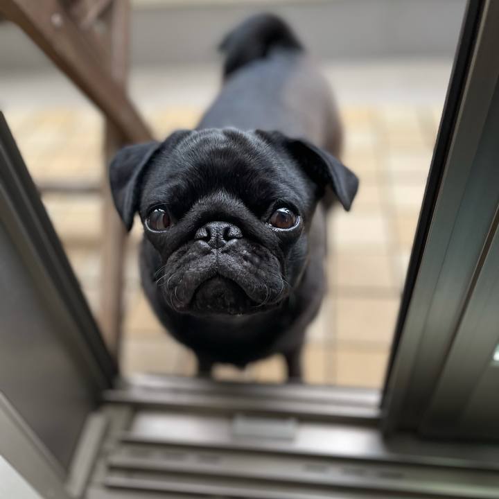 157e5966 a468 4209 b139 43bafdafd240 1618556461365