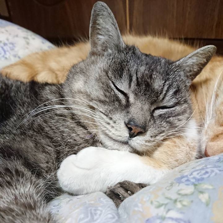 157e6bdd dd82 465b 8b29 ac299968b540 1583064708574