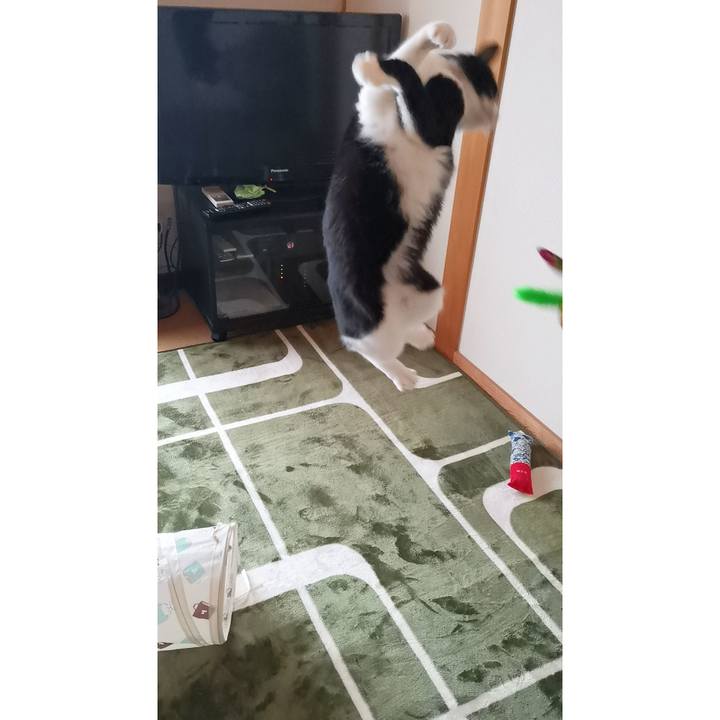 157e775d 59b1 4ae1 b66a 501d4856ae1e 1613225941364