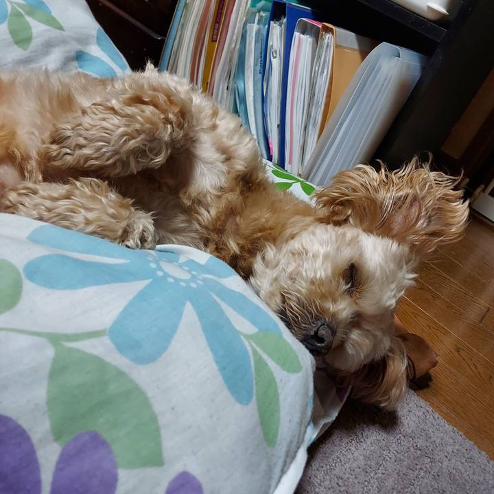 157e7b1e b574 48b1 8000 b55f58d69ce7 1652270009983