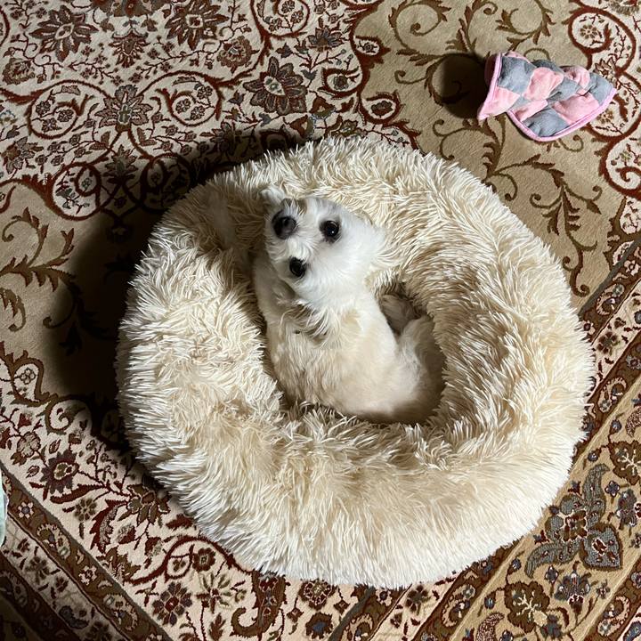 157ef614 142c 40de 8620 f0395a63824c 1661261564320