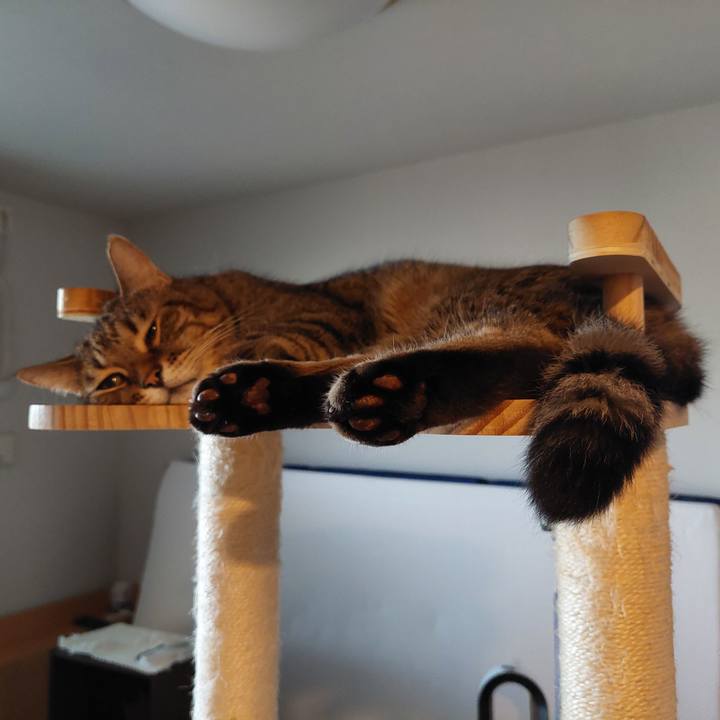 157f65c8 2071 4741 886a 91992b041117 1758492344853