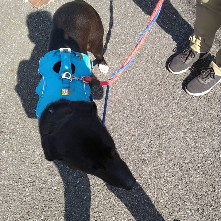 157f7ad4 2d7e 4166 a4a3 727d808e8622 1622508695059