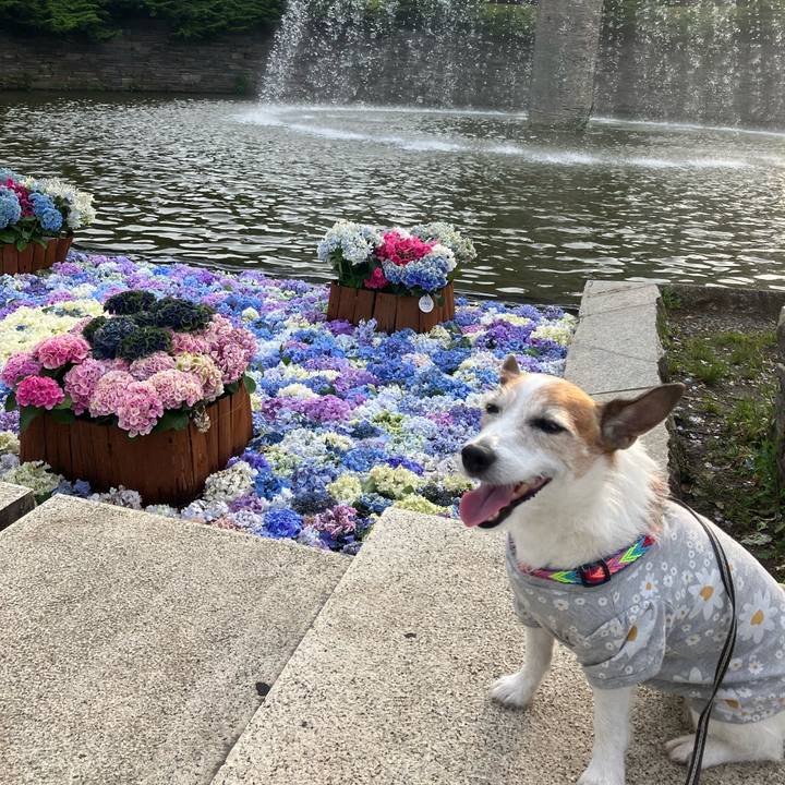 157f8180 5b7e 4eb0 90d0 16b67220dd5b 1687217037283