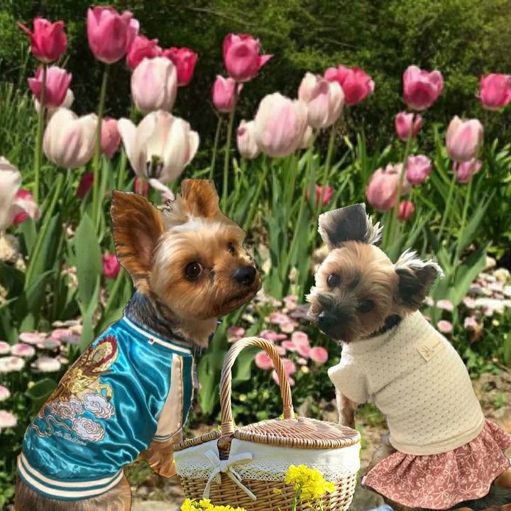 157fab8e 7fab 4ac4 b067 efd256e191ef 1584878270764