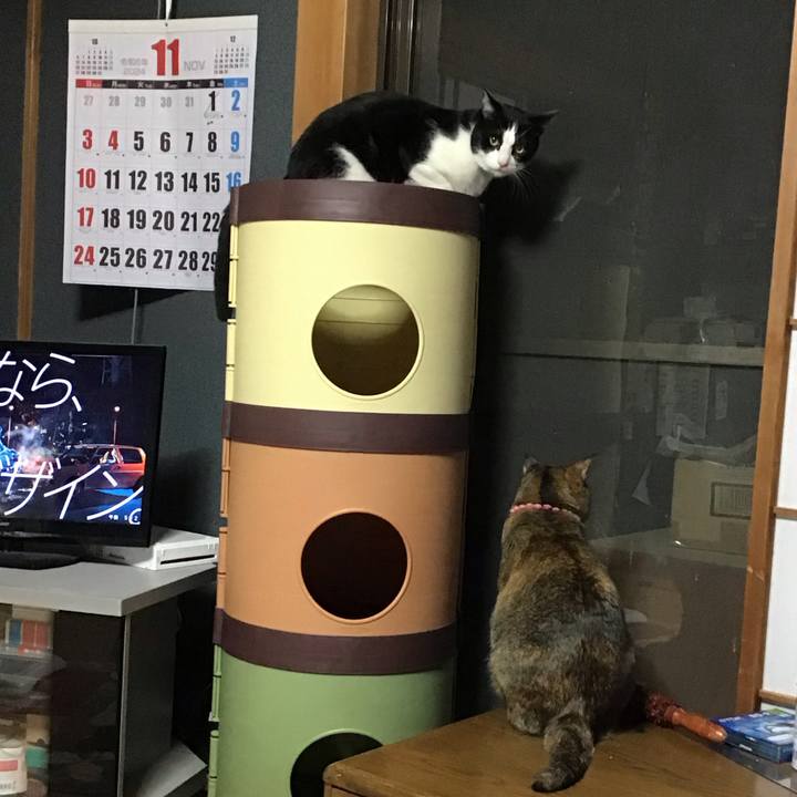 157fb863 7bd8 4193 a7fa 7724ddeba0dd 1732093780643