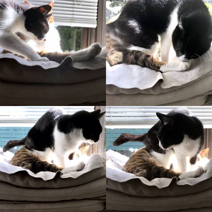 157fd470 2e0a 4918 b7b2 af62963c9051 1554450296665