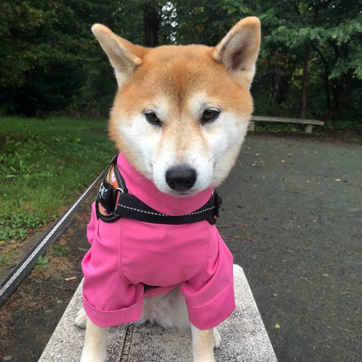 157fdbff 6b98 4087 af4d 000923217235 1538357142352