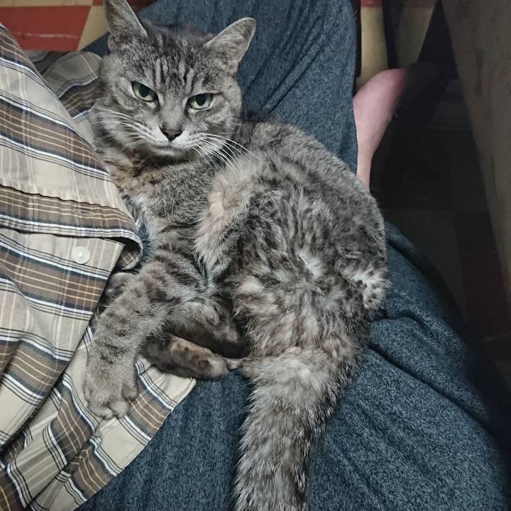 157fde76 5d6d 449d 9647 f4f787ef4531 1579603193247