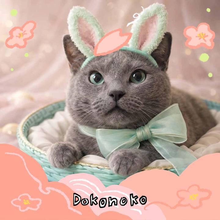 15800114 07d4 492c 9083 8f1aaacaef1a 1775277073858