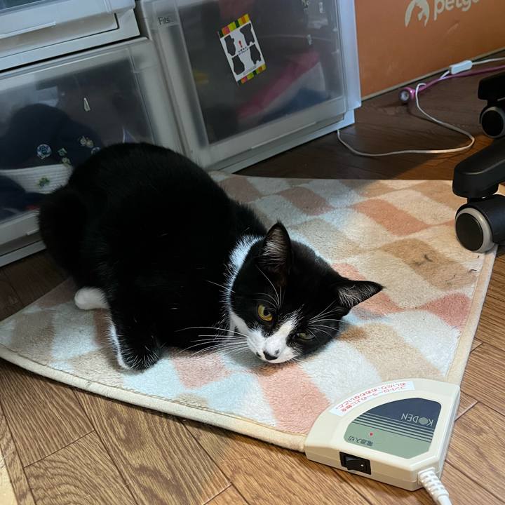 15806024 174f 419e 9244 bb64c79d84aa 1640490836615