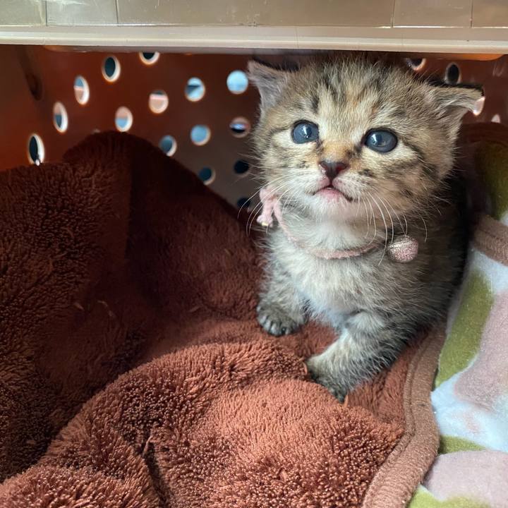 15809b9c 1c2a 4450 9f0a 70d30a41901a 1636183501558