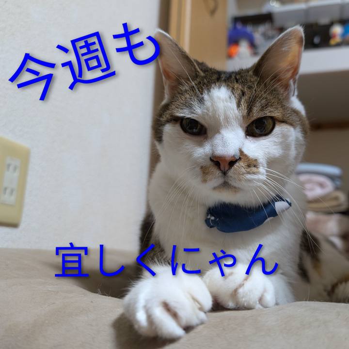 1580a586 805a 444b 9e81 d8b81fe53209 1759088890876