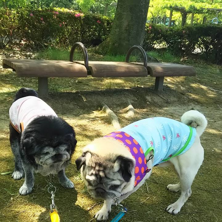 1580c5e4 0fb6 47e9 bb5a 944a64684247 1558380167846