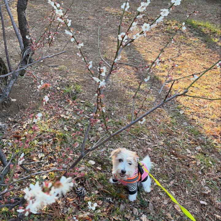 1580ecd9 7942 4108 b930 d6d166b74a17 1772964620765