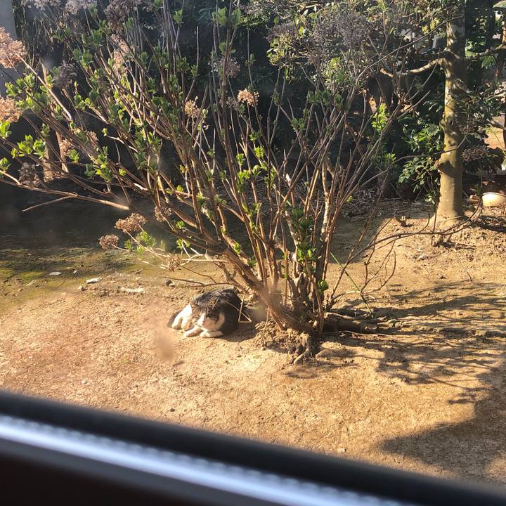 1580f5e7 7d8b 45da 800b b738c4284d3d 1585179840127