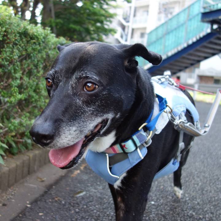 15811179 3ada 4d0e b114 8635cafe8f45 1751068179024