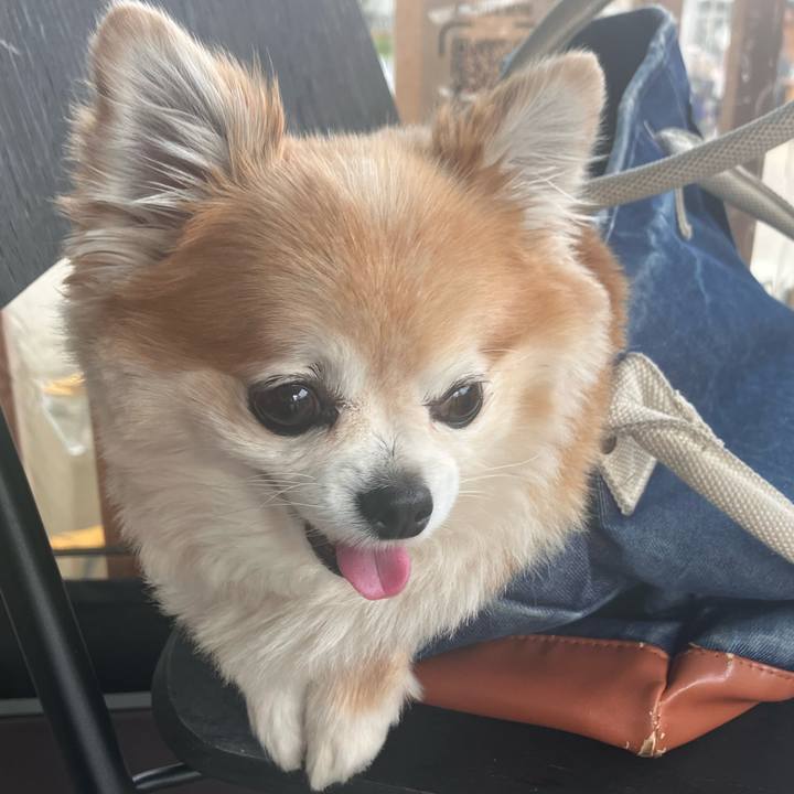 15811d24 78af 478b 821f 8c692392e2c3 1762003297186